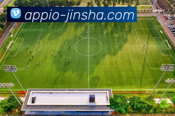 App Interface Preview