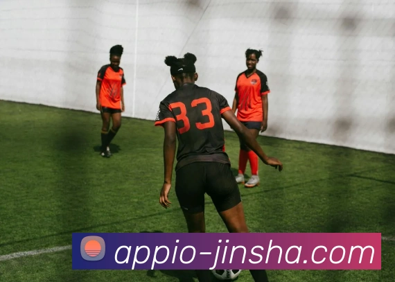 澳门金沙官网APP 封面图